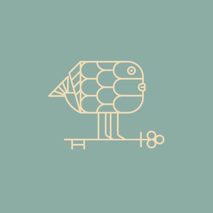 515370494_18072071396494040_3292029123157878690_n