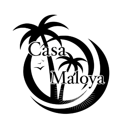 WhatsApp_Image_2025-09-16_at_10.27.59_6a4a82c3-removebg-preview