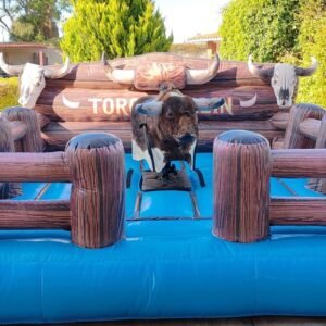 Mechanical Bull & Inflatable Games at Your Villa